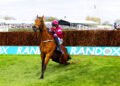 Horse euthanized after winning the Grand National race