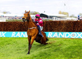 Horse euthanized after winning the Grand National race