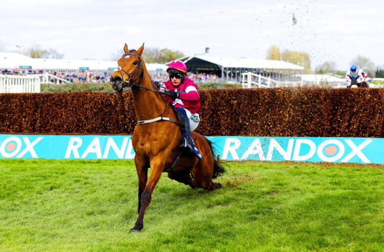 Horse euthanized after winning the Grand National race