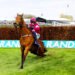 Horse euthanized after winning the Grand National race