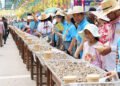 Record-breaking clam display draws 1.5 million to Kampong Cham