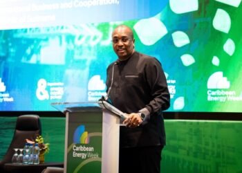 Bouva: ‘Energy must be the engine for broad economic growth’ – de Ware Tijd