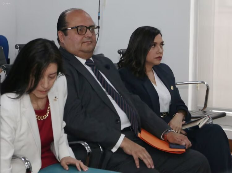 In less than eight months, the National Assembly will take the oath of office for the second time and install judicial authorities | Politics | News