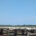 Hortobágy Spring Festival Returns with Traditional Herding Celebrations