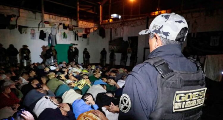 Towards the decrowding of the prison population, by Luis Jiménez Borra