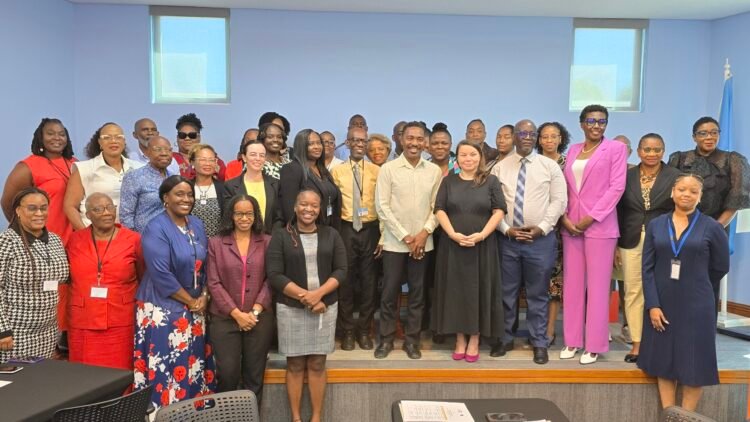 Forde: GBV battle must extend beyond disasters