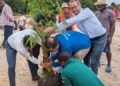 Guyana launches Bamboo pilot project
