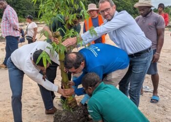 Guyana launches Bamboo pilot project