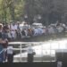 Ten of the best Dublin pubs in sunny weather: from beer gardens to pints by the sea – The Irish Times