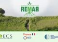 REMAR project launched to restore OECS mangroves