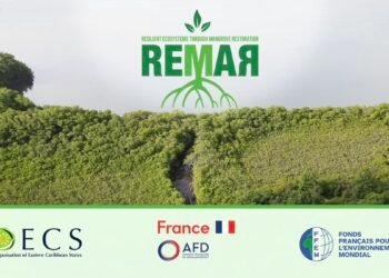 REMAR project launched to restore OECS mangroves