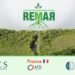 REMAR project launched to restore OECS mangroves