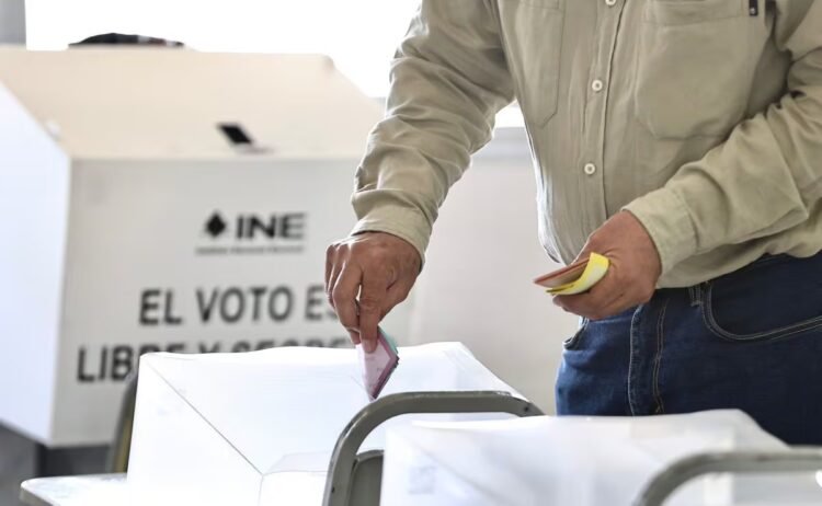 Which entities could compete for the PVEM in 2027?