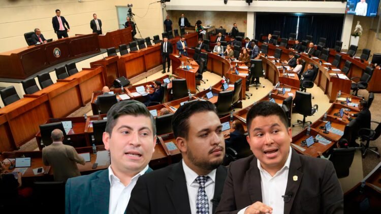 Election of the Electoral Tribunal magistrate: Bloise, Samaniego and Zamora challenged the Vamos line