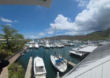 Government tests “Sail Clear” as push for maritime digitisation continues