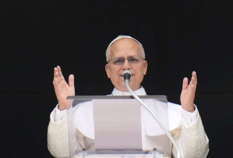 Pope Leo: I am not afraid of Trump administration
