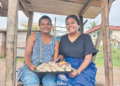 Dwindling fish supply affects food parcel sales