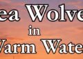 Book Review: Sea Wolves in Warm Waters by Clement Richards