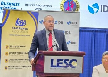 Nearly all businesses micro or small enterprises, ‘struggling’, new study finds