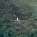 ASL crash rescue hampered by terrain, not capability – Gouveia