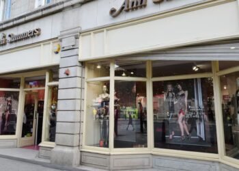 Remote-controlled rotating sex toy recalled over risk of injury from detaching parts – The Irish Times