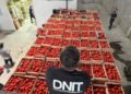Anti-smuggling operation: DNIT seized 53 tons of vegetables in the Fernando de la Mora warehouse – Economy