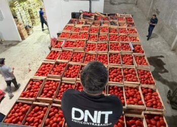 Anti-smuggling operation: DNIT seized 53 tons of vegetables in the Fernando de la Mora warehouse – Economy
