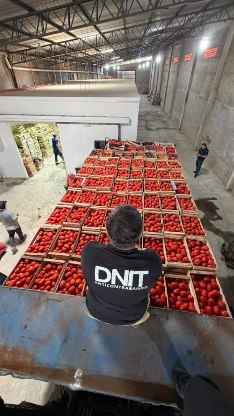 Anti-smuggling operation: DNIT seized 53 tons of vegetables in the Fernando de la Mora warehouse – Economy