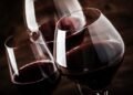 World Malbec Day: Argentina’s emblematic variety