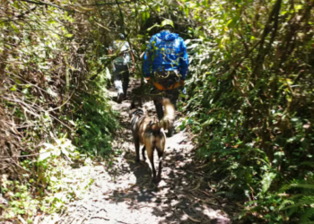 DNA and autopsy will define if the body found in Metropolitan Park is Gregory Krupa | Ecuador | News