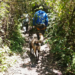 DNA and autopsy will define if the body found in Metropolitan Park is Gregory Krupa | Ecuador | News