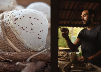 Scientists solve a decades-old puzzle after discovering the first egg of a mammalian ancestor