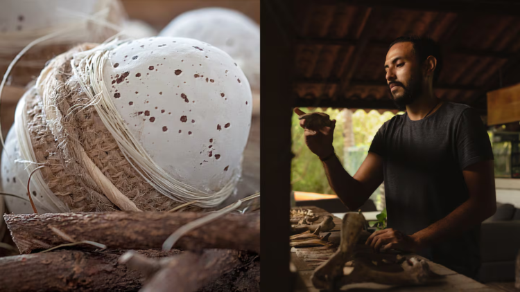 Scientists solve a decades-old puzzle after discovering the first egg of a mammalian ancestor