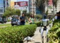 Robots in Peru: from dancing in political campaigns to guiding voters, how androids are beginning to sneak into everyday life