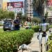 Robots in Peru: from dancing in political campaigns to guiding voters, how androids are beginning to sneak into everyday life