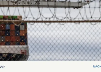 New online portal: USA starts refunding customs duties – DiePresse.com