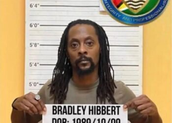 Man jailed for 38 months, fined $14M for ganja possession