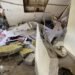 Man critical after gas explosion at East Ruimveldt home