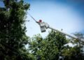 Maintenance work on the electrical network from April 13 to 19, 2026 | The Panama Press