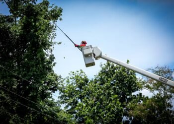 Maintenance work on the electrical network from April 13 to 19, 2026 | The Panama Press