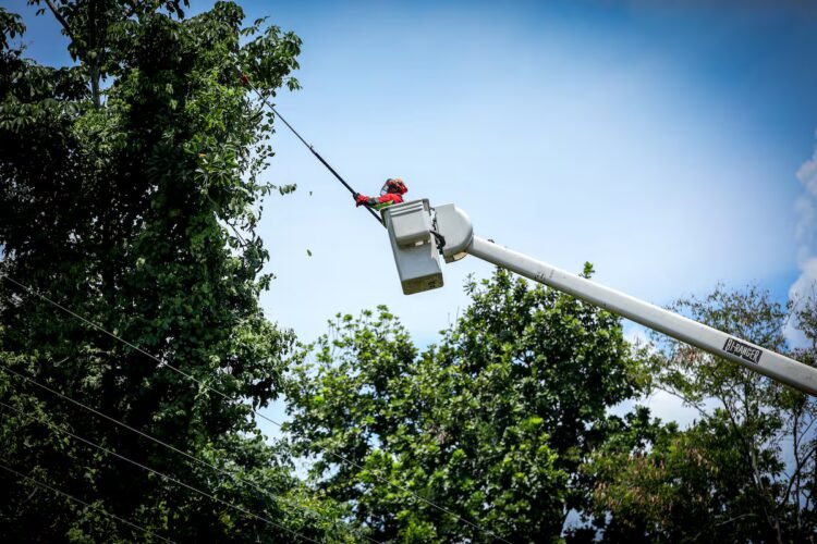 Maintenance work on the electrical network from April 13 to 19, 2026 | The Panama Press