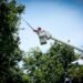 Maintenance work on the electrical network from April 13 to 19, 2026 | The Panama Press