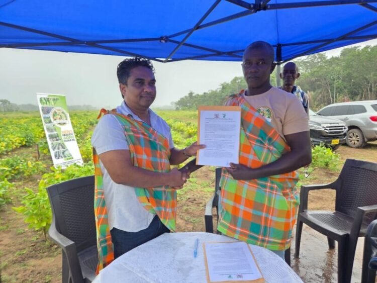 Successful pilot project on soy cultivation in Phedra – de Ware Tijd