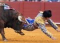 The famous bullfighter was impaled by a bull in the Seville arena. He seriously injured him in a sensitive spot
