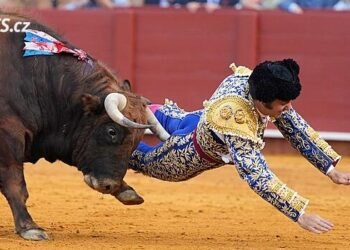 The famous bullfighter was impaled by a bull in the Seville arena. He seriously injured him in a sensitive spot