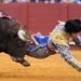 The famous bullfighter was impaled by a bull in the Seville arena. He seriously injured him in a sensitive spot