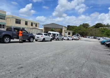 BLA expanding fully online services to cut wait times