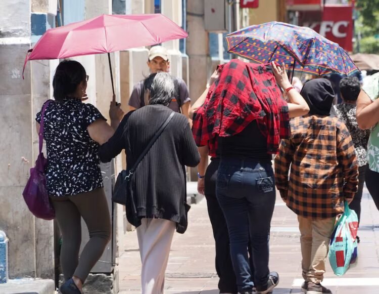 ‘Unprecedented’ heat wave: Inamhi says conditions could continue for the next few days on the Coast | Ecuador | News