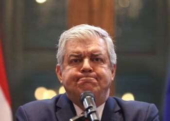 Riera affirms that Ambassador Gustavo Leite must resign – Politics