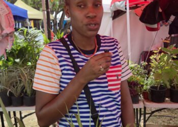 Vendors complain of poor sales at Oistins Fish Festival